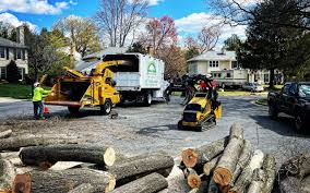 Best Firewood Processing and Delivery  in Spencerville, OH